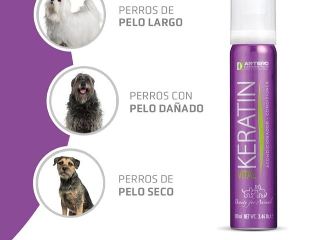 Artero Acondicionador keratin vital